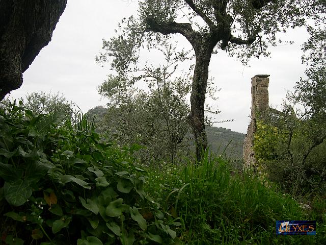 il campanile e i casini sullo sfondo.JPG